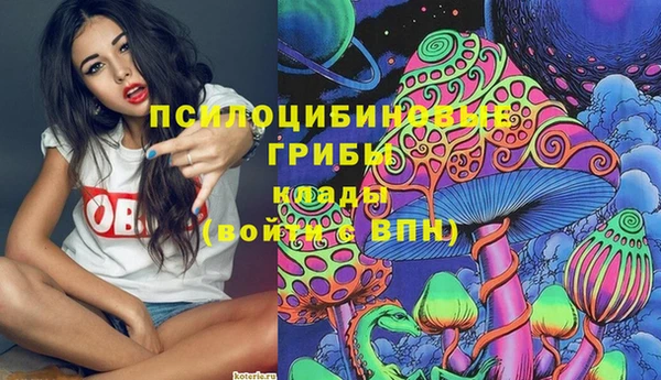 МДПВ Аркадак