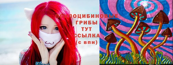 МДПВ Аркадак