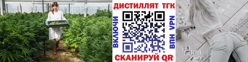 Купить  Вытегра  Дистиллят ТГК гашишное масло 